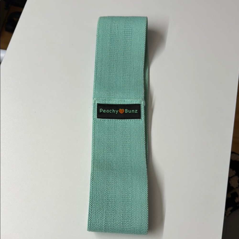 Peachy Bunz Mint Green Resistance Band
